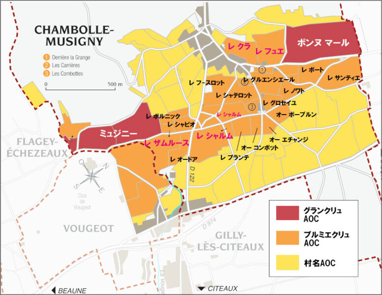 シャンボールミュジニ村地図